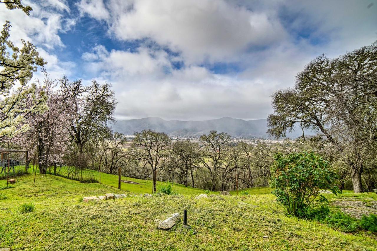 Hilltop Loft Ukiah Vacation Rental! Buitenkant foto