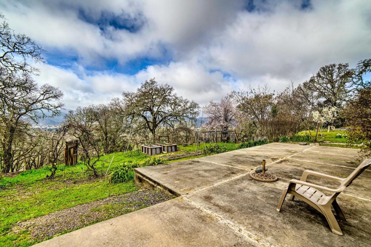 Hilltop Loft Ukiah Vacation Rental! Buitenkant foto