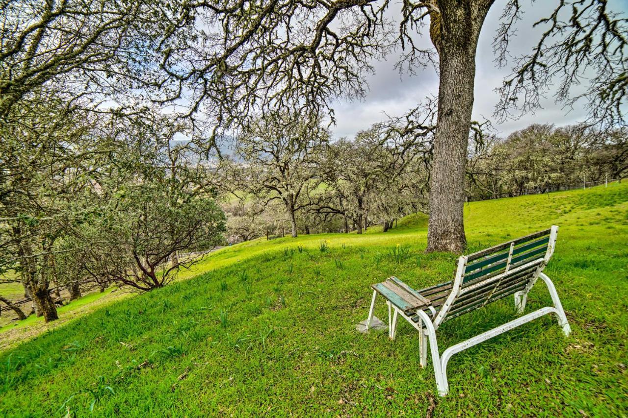 Hilltop Loft Ukiah Vacation Rental! Buitenkant foto