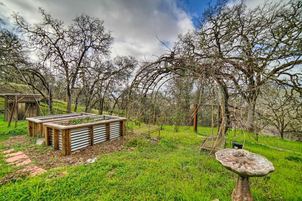 Hilltop Loft Ukiah Vacation Rental! Buitenkant foto